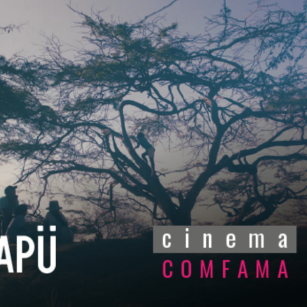Lapü
