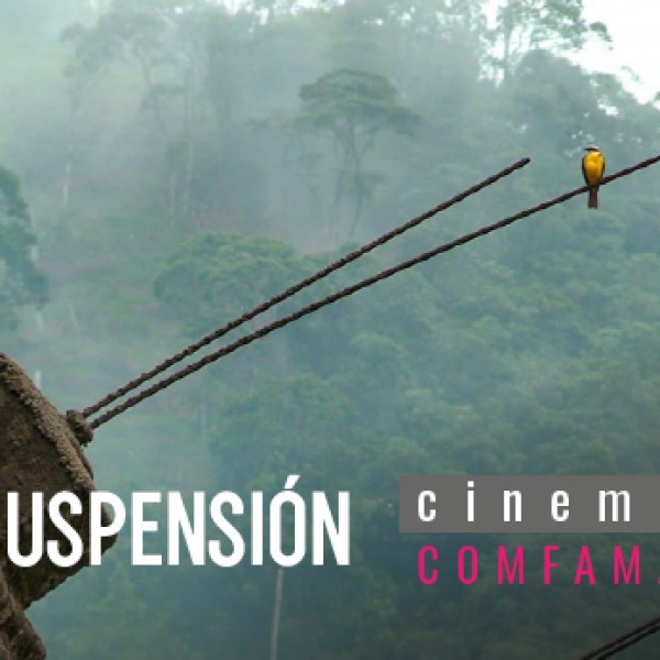 SUSPENSIÓN
