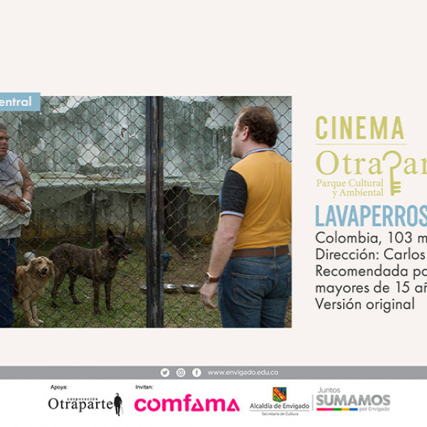 LAVAPERROS