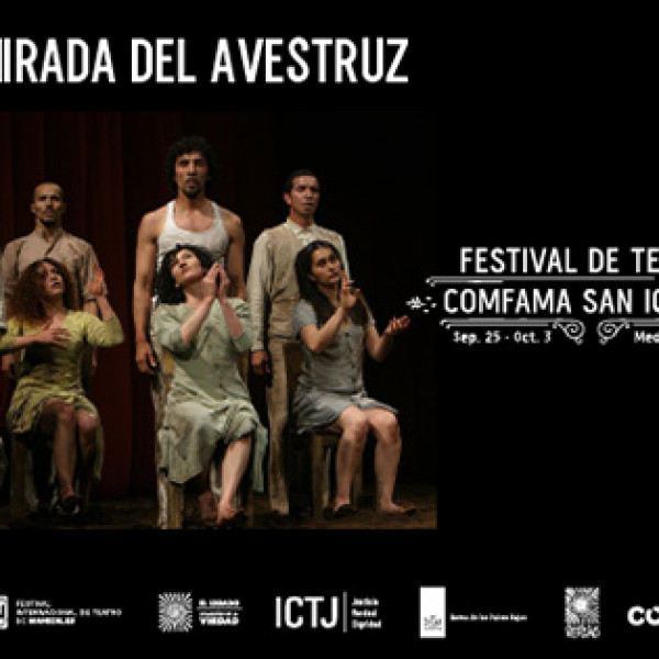 LA MIRADA DEL AVESTRUZ