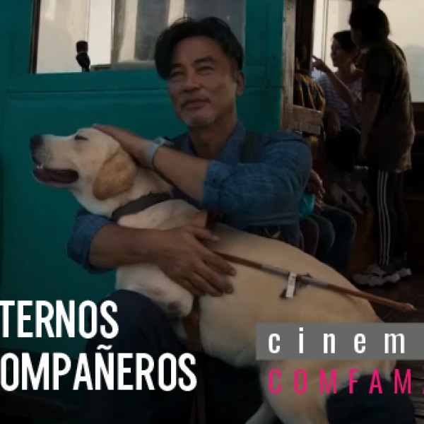 ETERNOS COMPAÑEROS