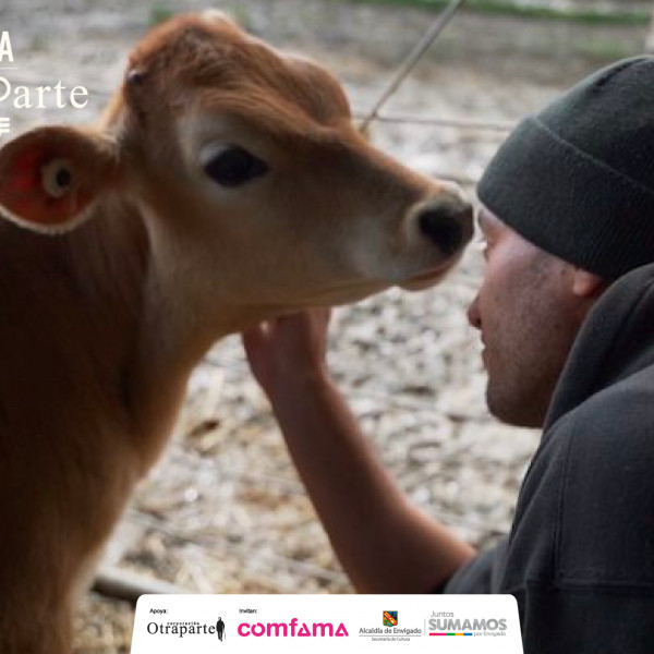 Milked