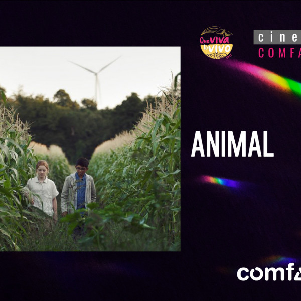 ANIMAL, de Cyril Dion