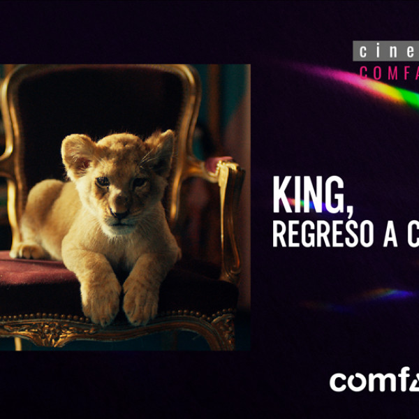 KING, REGRESO A CASA, de David Moreau.