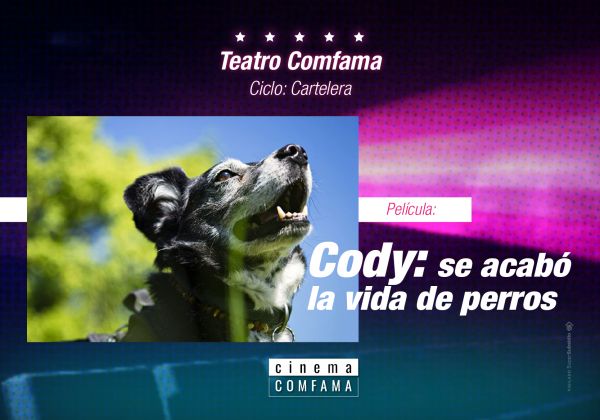 Cody: Se acabó la vida de perros