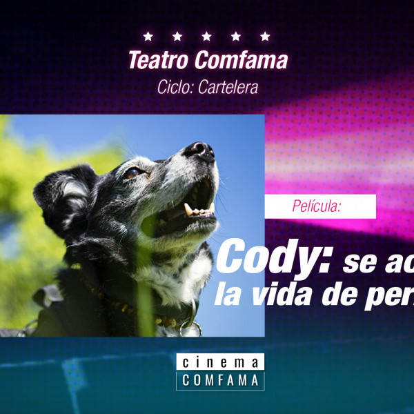 Cody: Se acabó la vida de perros