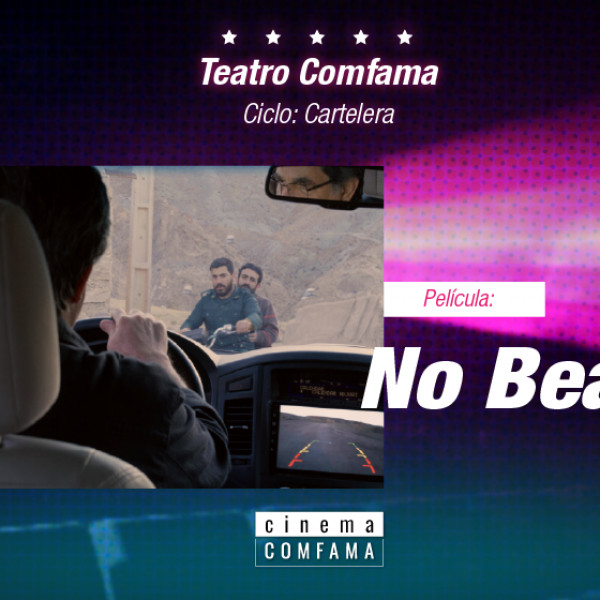 NO BEARS