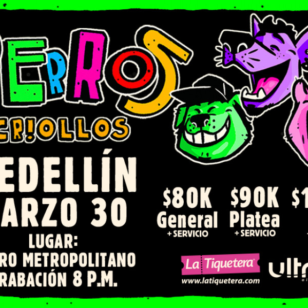 PERROS CRIOLLOS MEDELLÍN