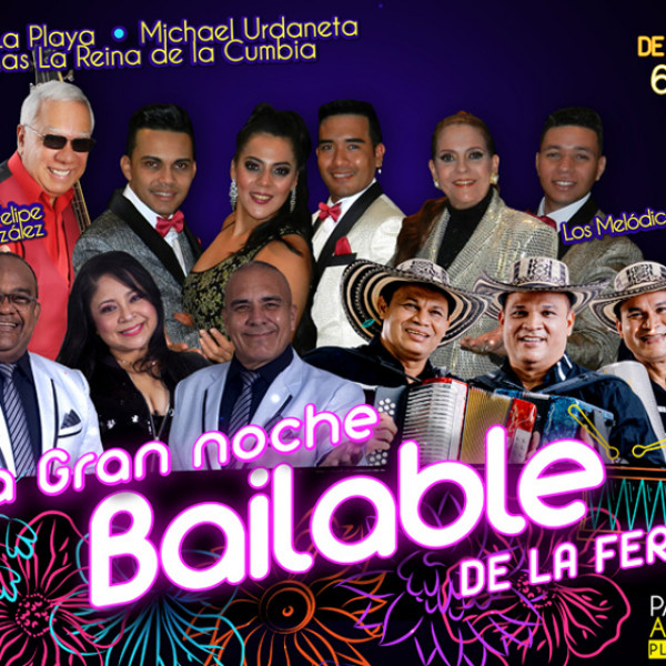 LA GRAN NOCHE BAILABLE