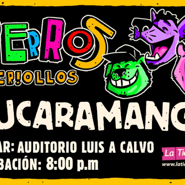 PERROS CRIOLLOS BUCARAMANGA