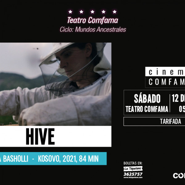 HIVE 