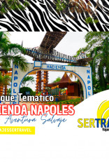 TOUR HACIENDA NÁPOLES PASAPORTE SAFARI