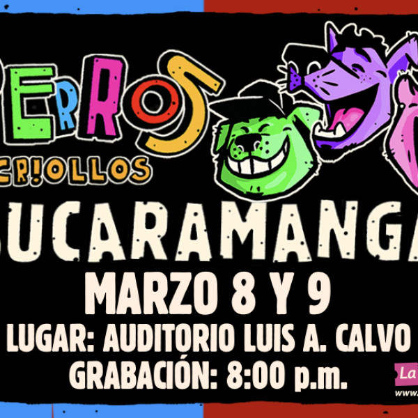 PERROS CRIOLLOS EN BUCARAMANGA