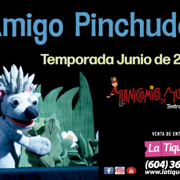 AMIGO PINCHUDO