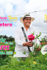 Tour silletero feria de las flores Medellín 2025