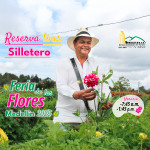 Tour silletero feria de las flores Medellín 2025