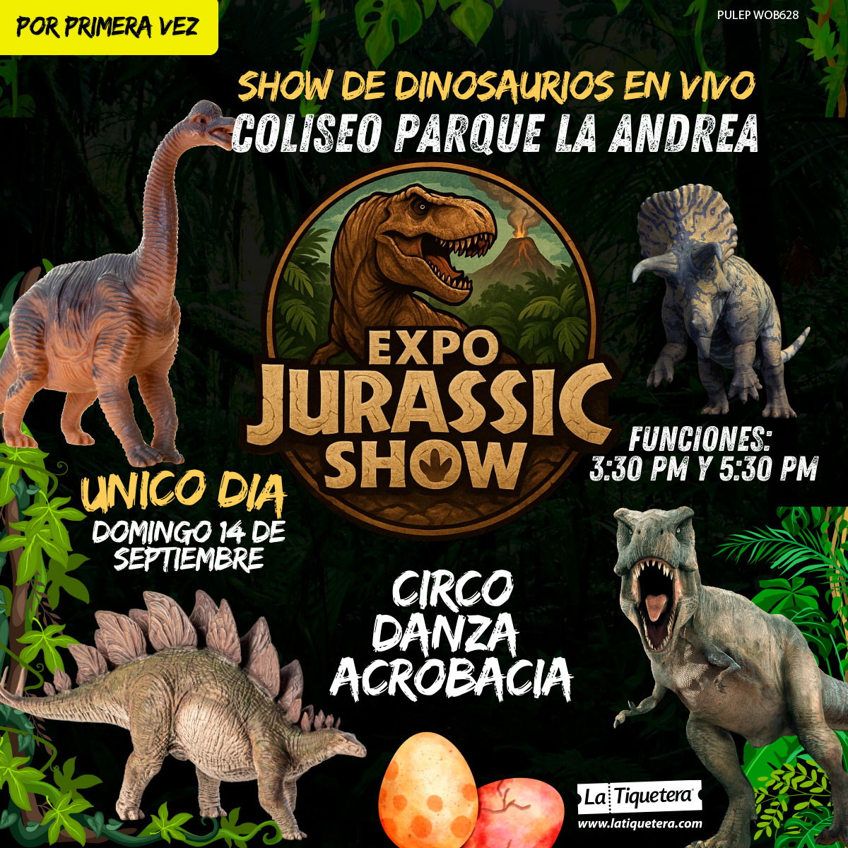 Flyer del evento
