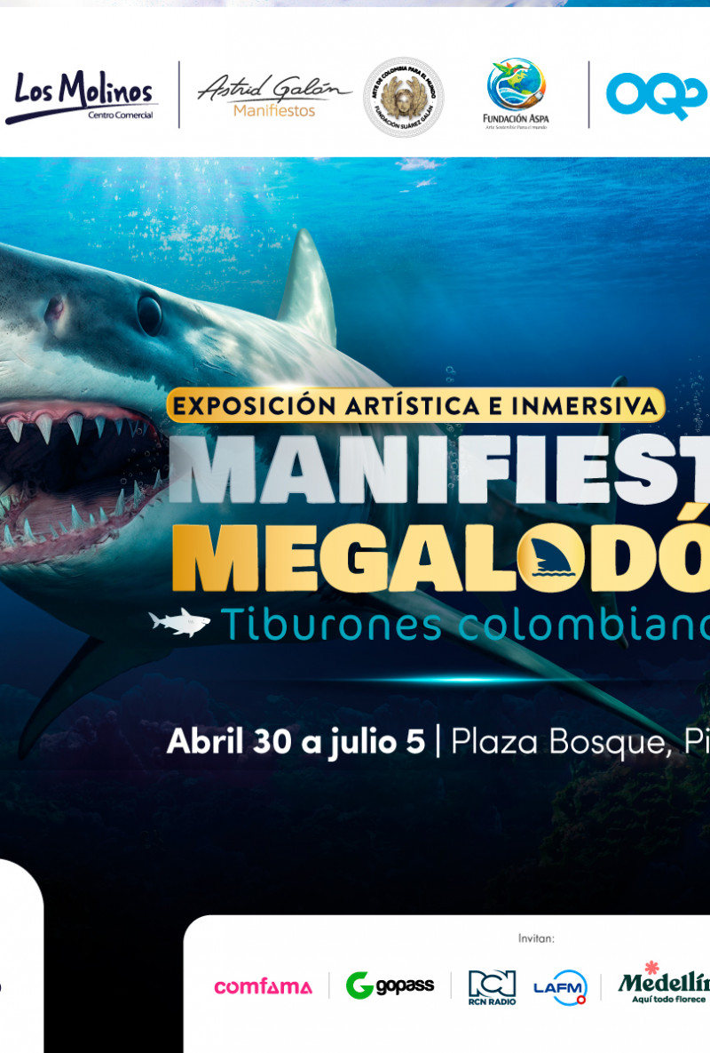 Exposición Artística e inmersiva manifiesto Megalodón – Tiburones Colombianos