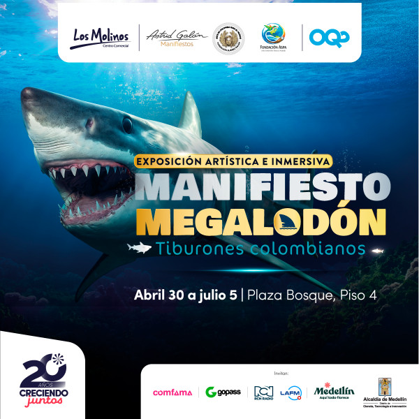 Exposición Artística e inmersiva manifiesto Megalodón – Tiburones Colombianos