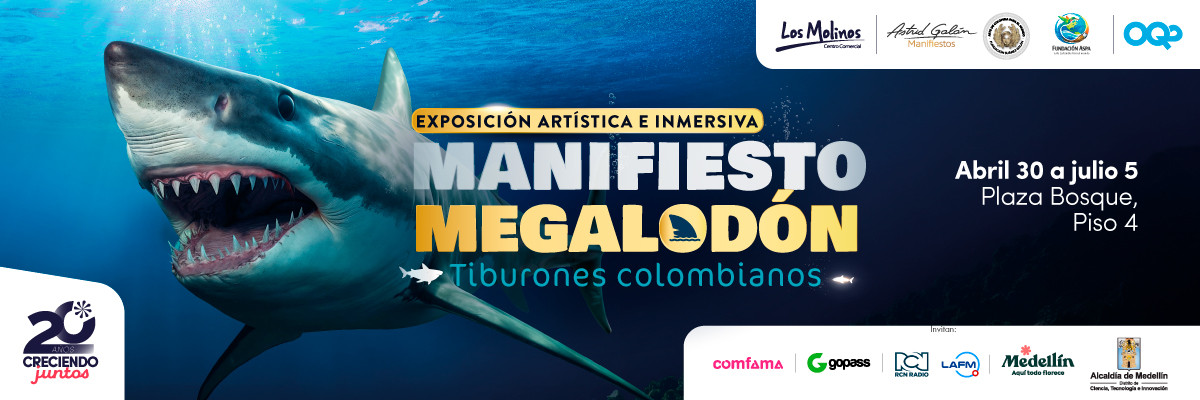 Exposición Artística e inmersiva manifiesto Megalodón – Tiburones Colombianos